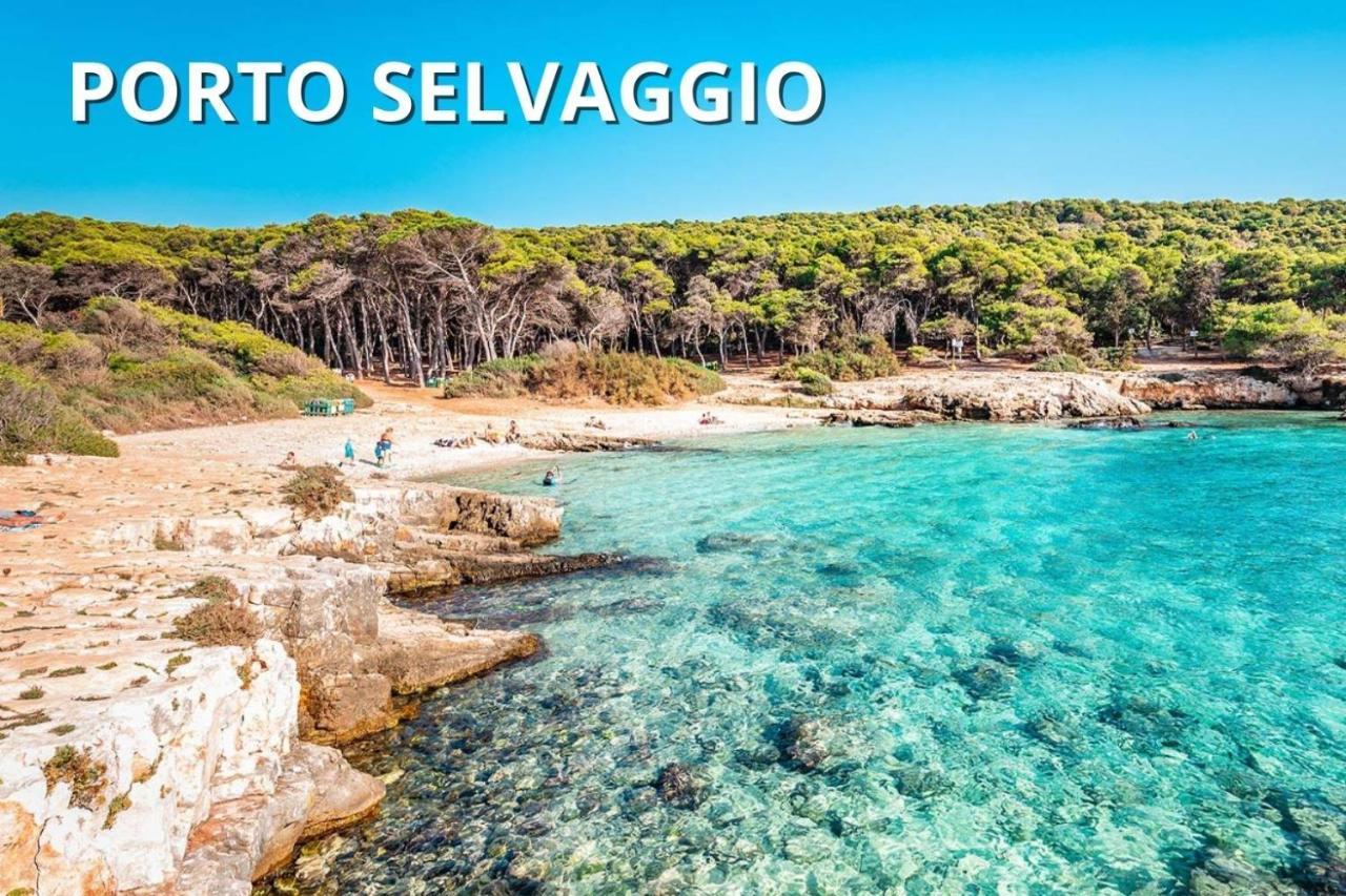 Lido Conchiglia Delfino - Ampio Appartamento A 40 Metri Dalla Spiaggia מראה חיצוני תמונה