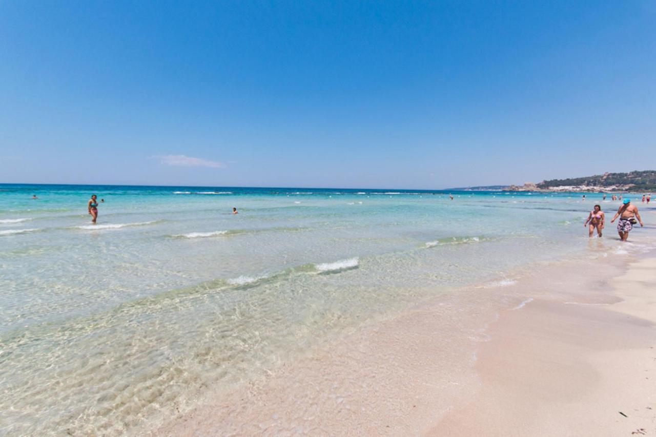 Lido Conchiglia Delfino - Ampio Appartamento A 40 Metri Dalla Spiaggia מראה חיצוני תמונה