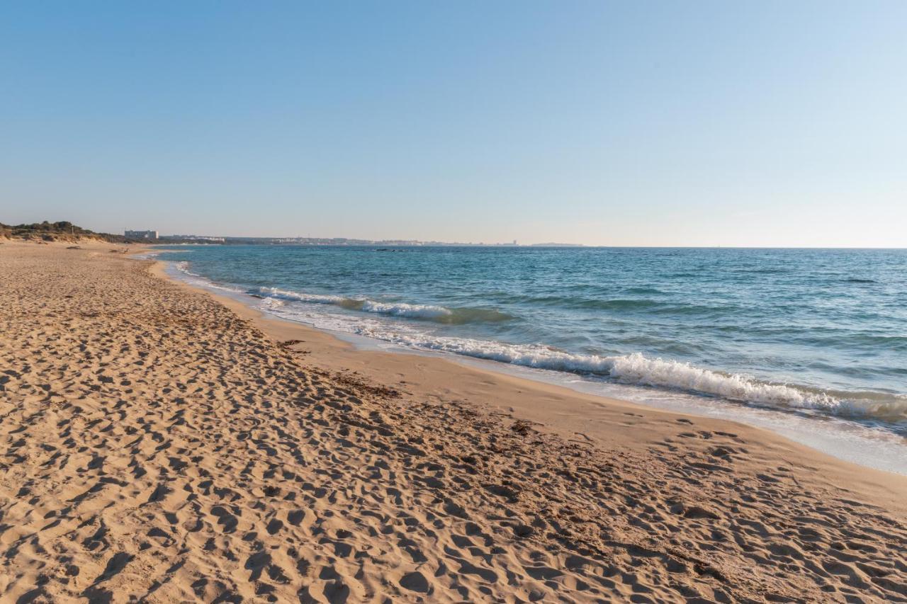 Lido Conchiglia Delfino - Ampio Appartamento A 40 Metri Dalla Spiaggia מראה חיצוני תמונה